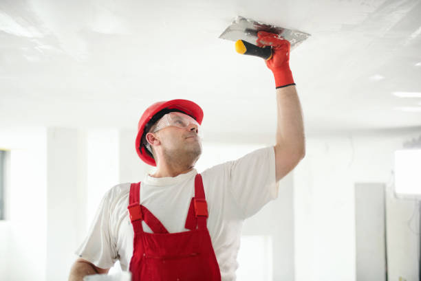 Best Fire-Damaged Drywall Repair  in Fairborn, OH